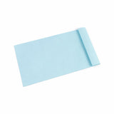 Extra large envelope ideal for office document mailing