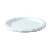 Classic round disposable serving plate for snack servings