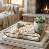 Group of assorted natural shells for decorative and craft purposes